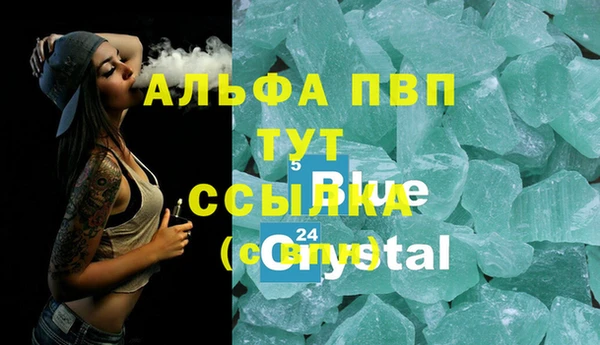 крисы Абаза