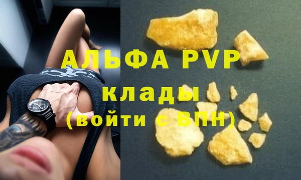 крисы Абаза