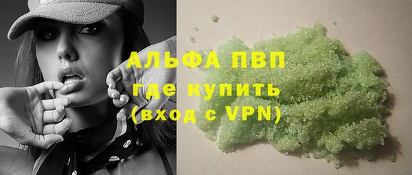 крисы Абаза